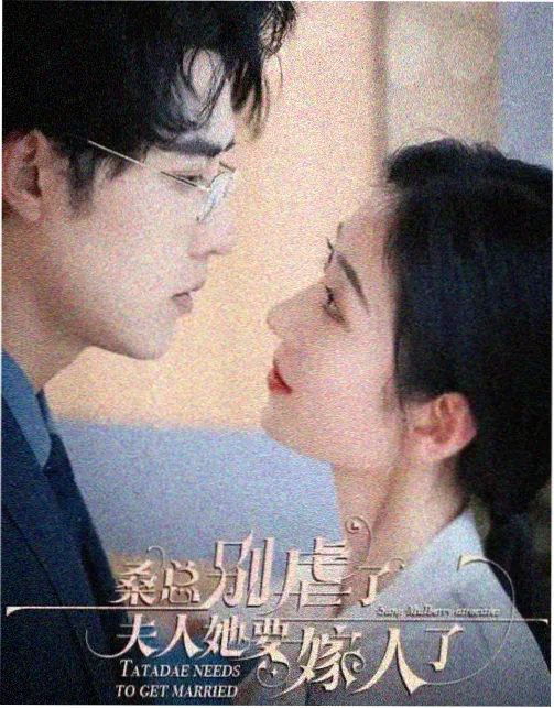 春季剧集排播与题材分布资讯配图